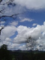 59197cb8bad04_15mai2017-1.jpg.5cd96c10feea2838586086829232c72d.jpg