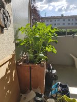 20170521_171516.jpg.6a86ce2fa4f4ab55d31df02c25b01388.jpg
