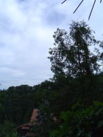 593a49b49a64a_9Juni2017-3.jpg.3ff6b1f04b14eb3315e3902f0e6cc25a.jpg