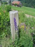 595a051654456_3juli2017-5.jpg.d8ce042e94d797df4872019615d6098d.jpg
