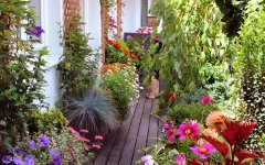 balkongarten-mit-blumen-und-kraeutern-1920x1200.jpg.91d203306399df87ed87a1be84769e76.jpg