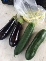 595b4d1976ec8_AubergineGurke.jpg.31c0d91cb34b12f4b2ea4669079be383.jpg