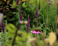 Naturspiel1.jpg.d736ac5d7a16959c2cf6e4d9584cd297.jpg