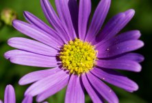 598dc6a1ae6b8_Bildschirmfoto2017-08-11um16_45.20Kopie.jpg.4a802eca8413563c0a4da26b3332f6df.jpg