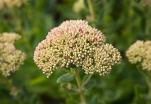 598dc6a410eb5_Bildschirmfoto2017-08-11um16_45.35Kopie.jpg.1eddb15f16e0d08bf4c0e01a07c36782.jpg