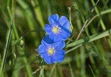 598dc6a6691ff_Bildschirmfoto2017-08-11um16_45.48Kopie.jpg.3da2ce3d9287ee4c1c51ce2820583167.jpg