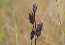 598dc6a8bbf91_Bildschirmfoto2017-08-11um16_46.02Kopie.jpg.56037d4d78a0b9849826f3fe00d08acb.jpg