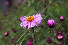598dc6ad8b830_Bildschirmfoto2017-08-11um16_46.23Kopie.jpg.4d47e555b0730b664bd348b06a9bcb6a.jpg