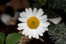 598df24be8422_Bildschirmfoto2017-08-11um17_07.32Kopie.jpg.2b60e4c0852a4ba5b1d78f25b0948862.jpg