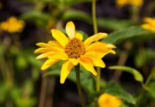 598df28130782_Bildschirmfoto2017-08-11um17_09.59Kopie.jpg.d8416dfe39c7a26dce322766aefa533e.jpg