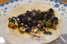 Taco-de-Huitlacoche.jpg.1c1eeae141bb5041e266384e2d76cf6a.jpg