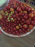 599427272853d_kf003.JPG.ff2e913c83ba067e574de9799efccf45.JPG