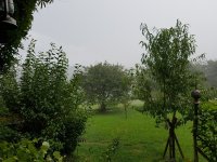 20170818_154104.jpg.4ee4676c00674b7e9136fbb8faba41dc.jpg