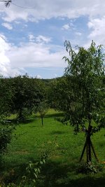 IMG-20170818-WA0000.jpeg.f9f6eee3b0e06b0a910a02a994300b3e.jpeg