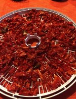 5998268ba7328_getrockneteTomaten.jpg.38b45e6f24b520b9be3836107d9c1945.jpg