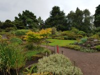 20170825_142854.jpg.1c81573b8d213ea210bbbf7dc64fa36a.jpg