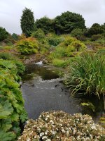 20170825_142846.jpg.88854ed6207197036b7853fa7174cc2b.jpg