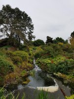 20170825_142728.jpg.24ee2e480f68ff992c64e1901a945994.jpg
