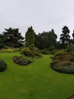20170825_142629.jpg.ce98f6d9d0cc4569b6a9938dfe467d8e.jpg