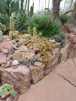 20170825_123507.jpg.cea9fbffff199280137a46bd40a9a3ee.jpg