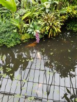 20170825_123308.jpg.c4e49d4363a52c4f509a3d67cb88621a.jpg