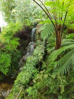20170825_121814.jpg.c05a544ad8f52357e334aad60c9343a1.jpg