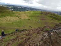 20170826_123233.jpg.f9ceea69dbe81d8ff1cdc00c89021989.jpg