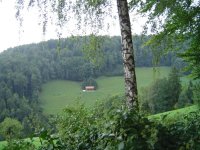 3.9.2017-1.jpg.75dd83f4c531f0161a68fe677e504c05.jpg