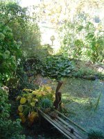13_10.2017-herbst-6.jpg.05c96a9cd0017cb9497c7c18381d4eac.jpg