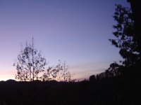 26_10.2017-abendstimmung.jpg.ab572c3ba8c4041d1175399359b08862.jpg