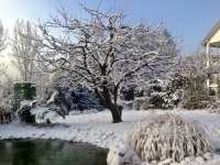 IMG_7859.jpg