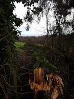 20171214_092306.jpg