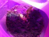 20171227_224648.jpg