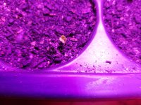 20171227_224557.jpg