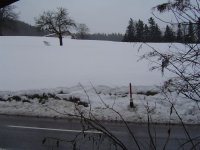 30.12.2017-1.jpg