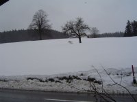 30.12.2017-2.jpg