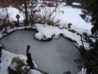 30.12.2017-3.jpg