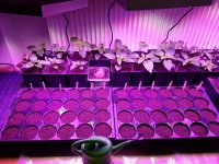 20180224_083347.jpg