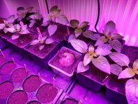 20180224_083414.jpg
