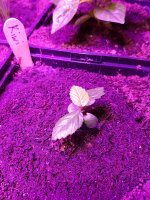 20180224_083400.jpg