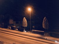 IMG_0304.jpg