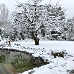 IMG_0306.jpg