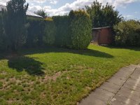IMG-20180318-WA0001.jpg