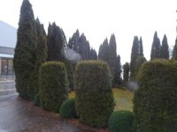 DSC02024.jpg
