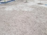 Garten1.jpg