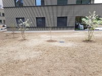 Garten2.jpg