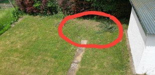 rasen_20180527_134126.jpg