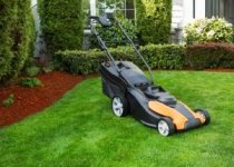 beet_rindenmulch-300x215.jpg