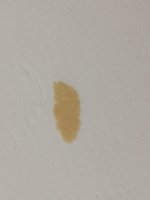 IMG_20180729_202016.jpg
