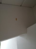 IMG_20180729_202009.jpg